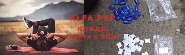 эйфоретик Баксан