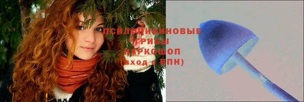 PSILOCYBIN Балахна