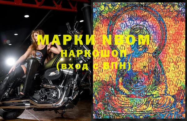 эйфоретик Баксан